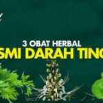 Cara Menjadi Top Global Natalia MLBB dengan Gameplay Efektif dan Konsisten