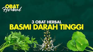 ramuan herbal penurun darah tinggi